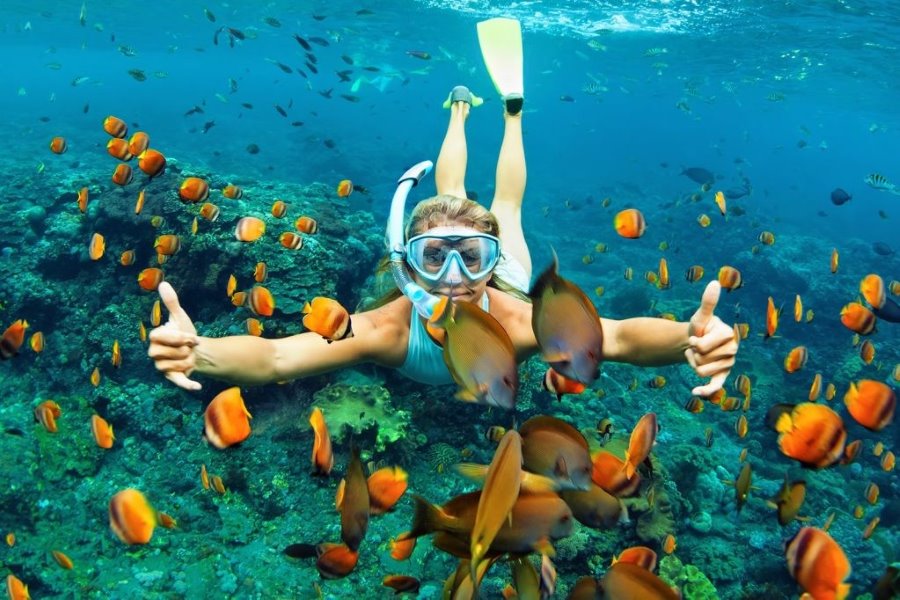Snorkeling dan Diving di Perairan Jernih Pulau Koh Ta Kiev